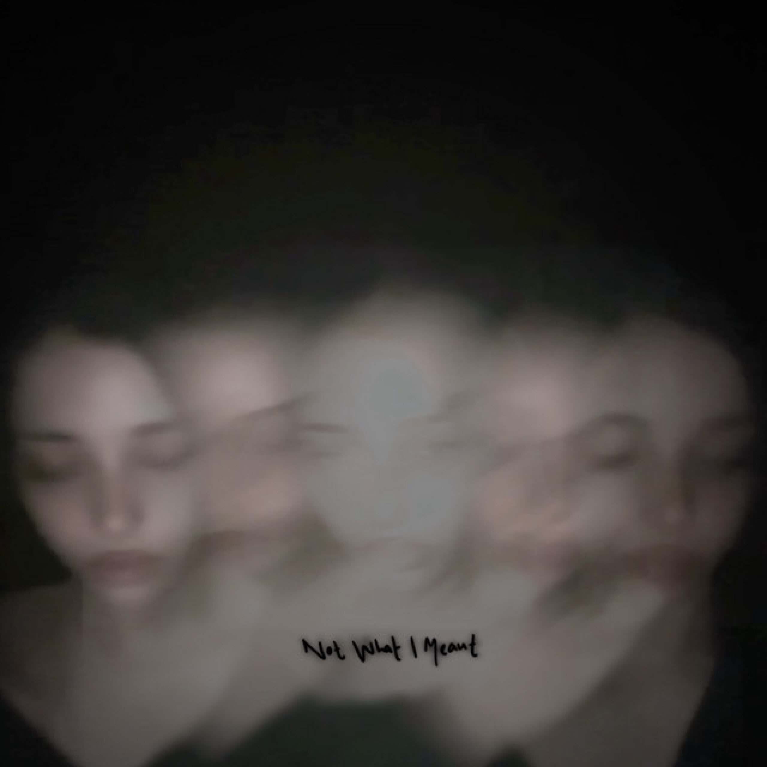 Cover: Not What I Meant
