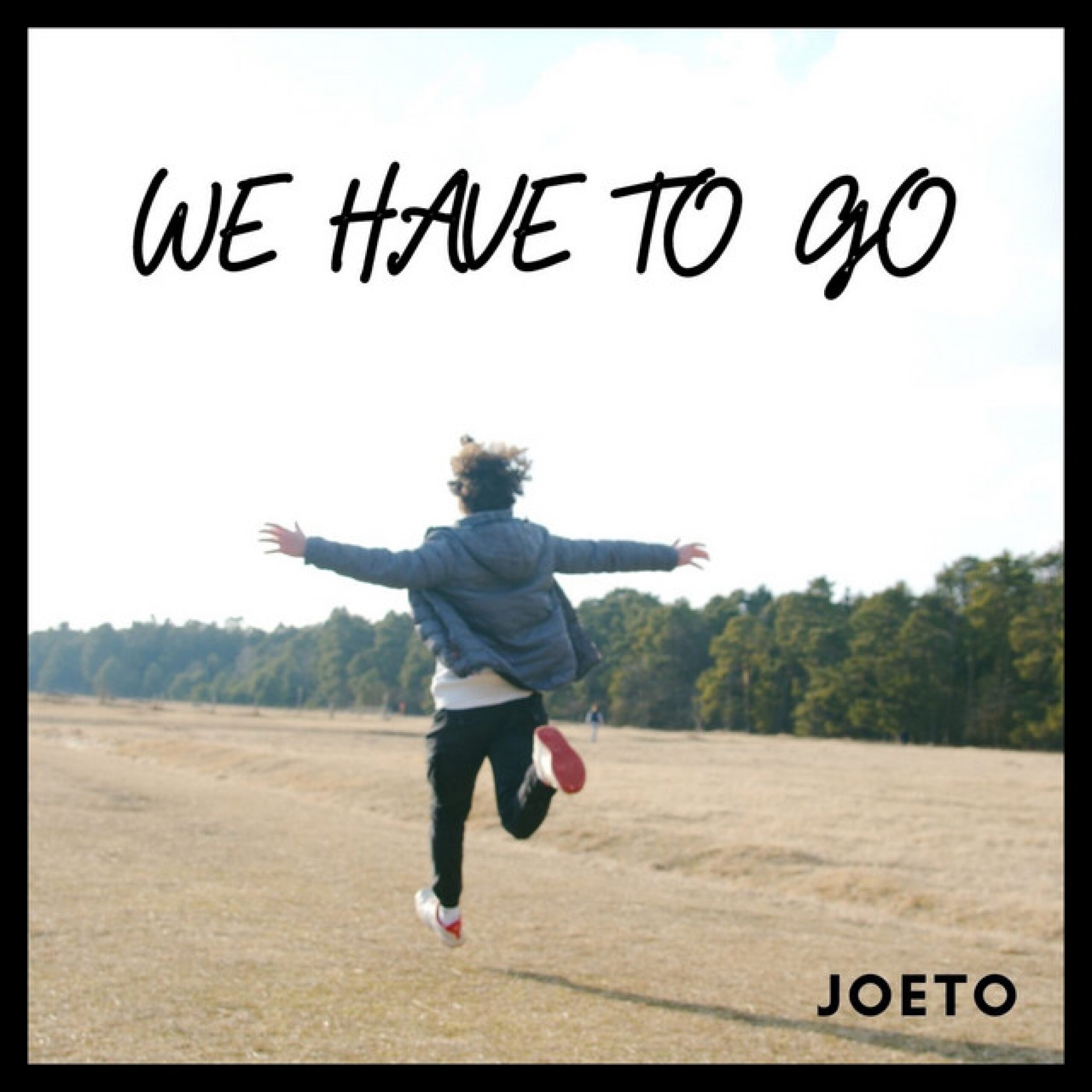 Cover: We Have to Go